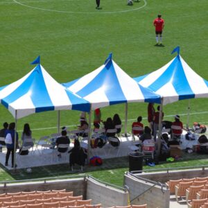 Blue and White Striped Pagoda 10' x 10'