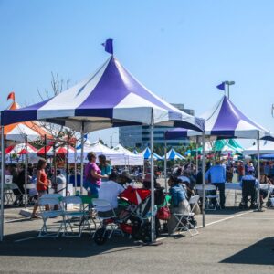 Purple and White Striped Pagoda 10′ x 10′