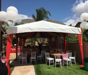 Frame Tent Canopy-15' Width