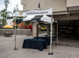 10'x10' black and white pagoda