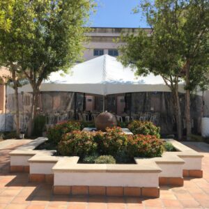 Frame Tent Canopy-30' Width