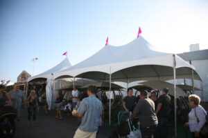 20' x 30' White Pagoda