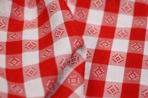 Gingham - Red