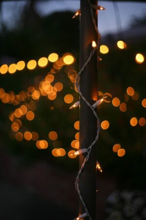 White Twinkle Lights