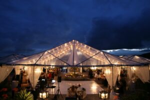 Clear Frame Tent Canopy-10' Width