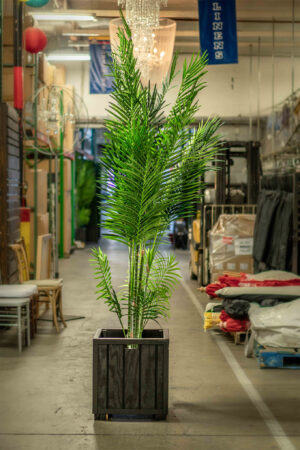 Tropical Palm Tree 8'